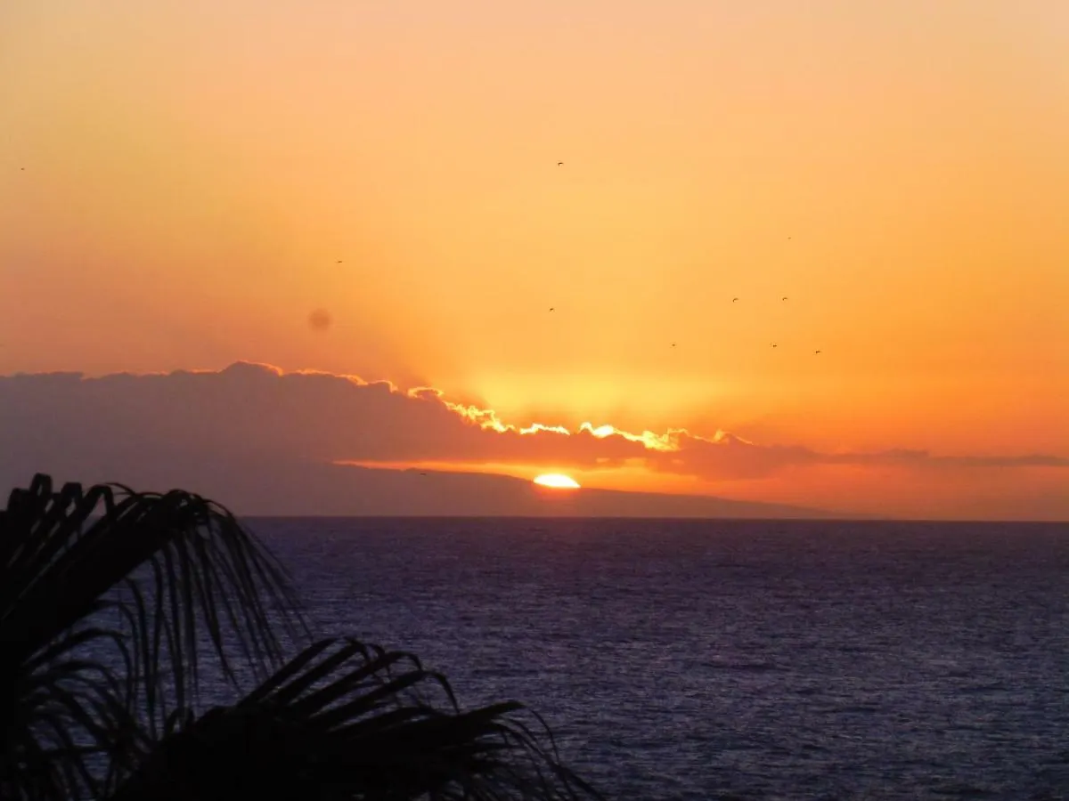 Balcon Del Mar Apartment Costa Del Silencio Spain